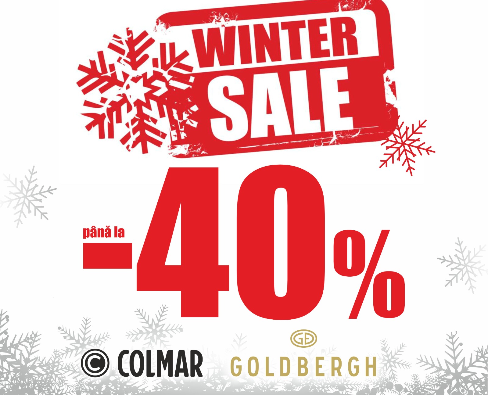 WhatsApp Image 2026-02-10 at 09.48.24